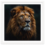 Majestic Lion Portrait In Gentle Rain thumbnail
