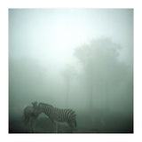 Silence of breath - 15 (Print Only) thumbnail