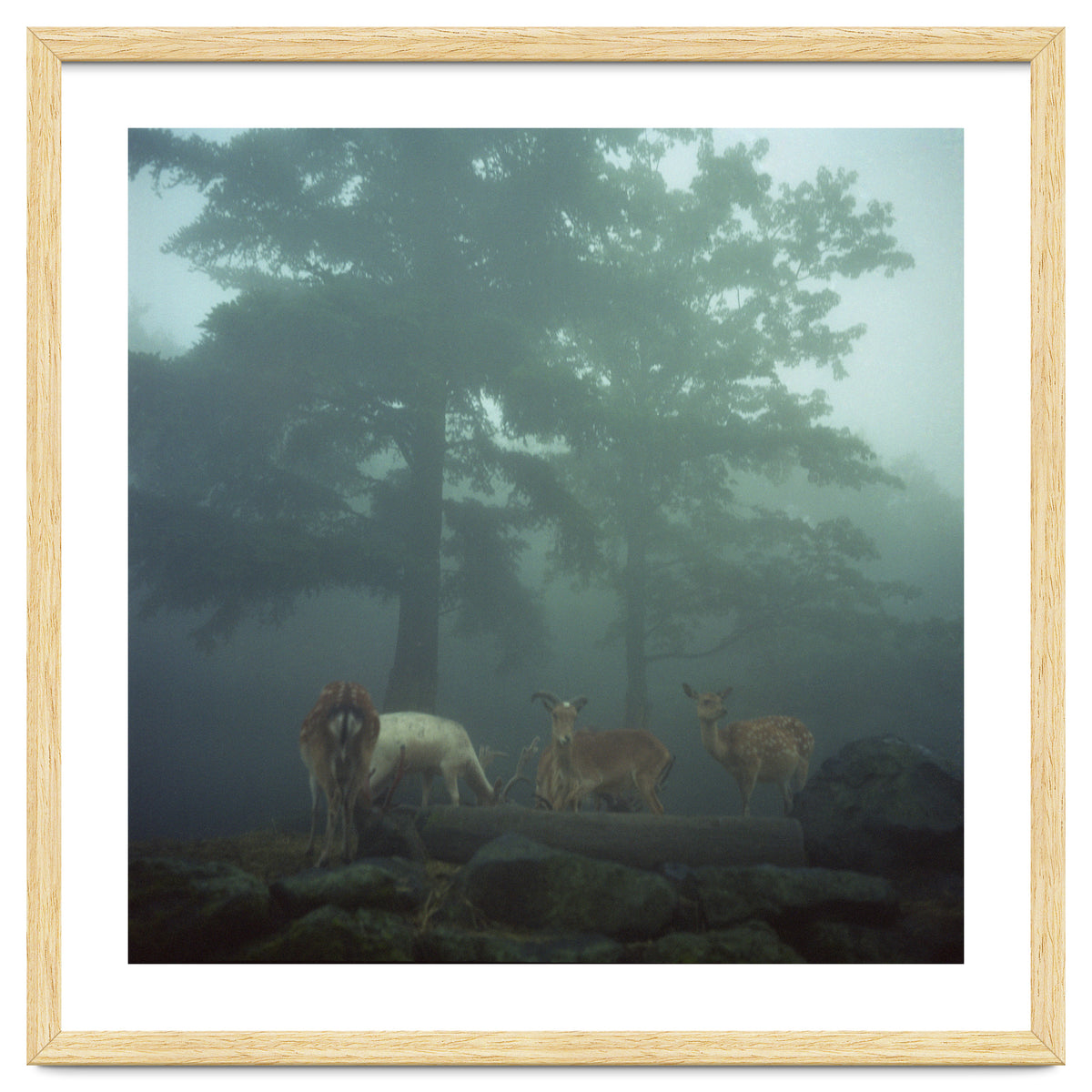 Silence of breath - 05