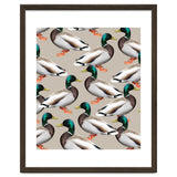 Mallards thumbnail