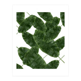 Banana Leaves V2 (Print Only) thumbnail
