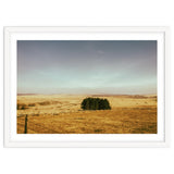 Dartmoor 2018 thumbnail