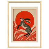 Hare And The Red Sun thumbnail
