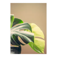 Dark And Light (Print Only)