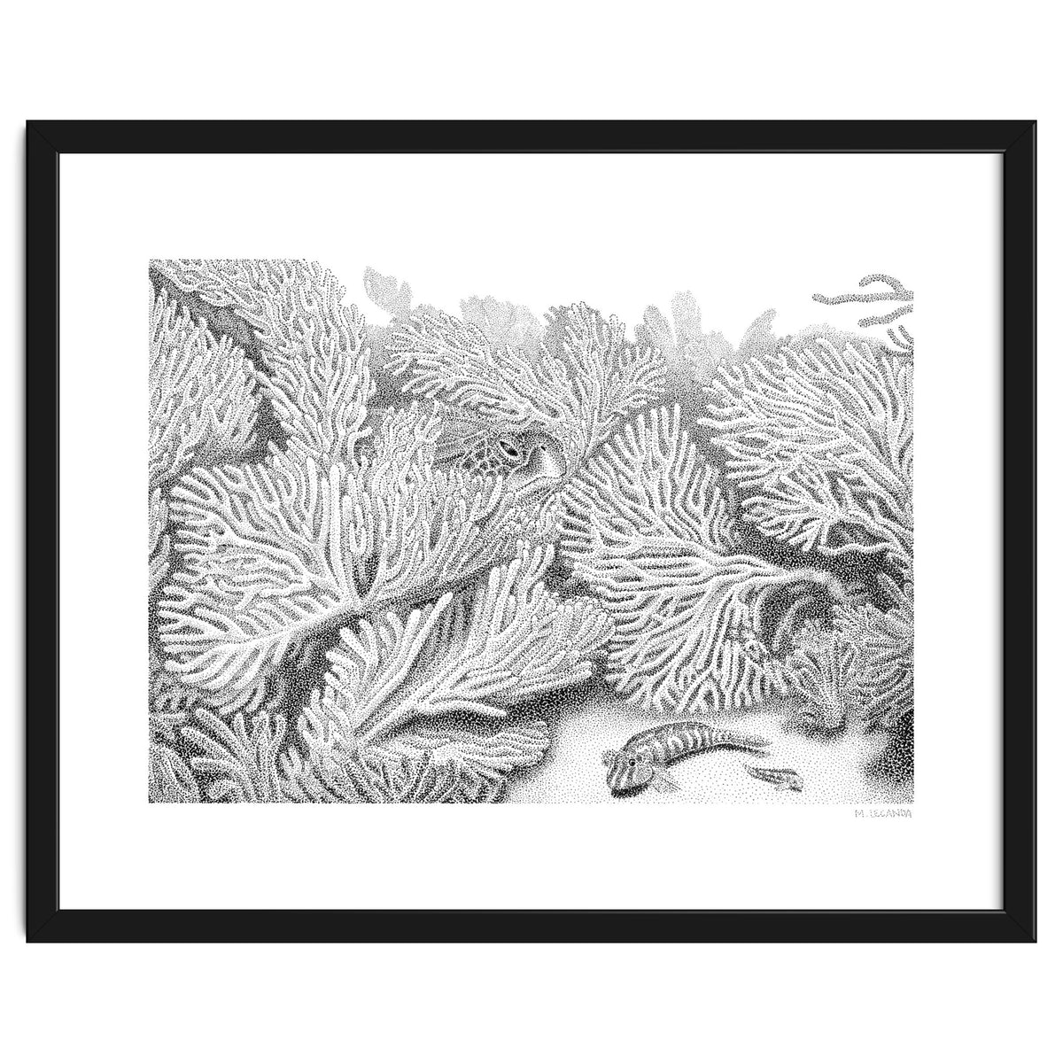 Hidden in plain sight