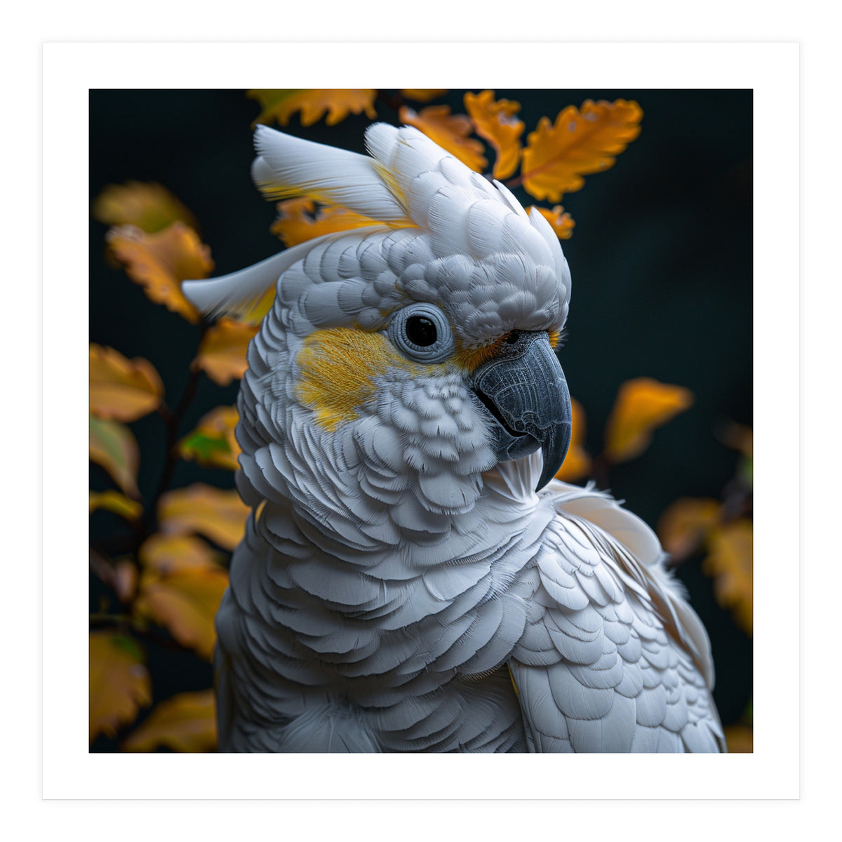Yellow Crested Cockatoo Portrait Autumn Leaves Dark (Print Only)
