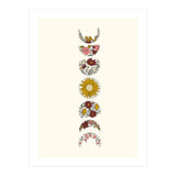 Floral Phases Of The Moon (Print Only) thumbnail
