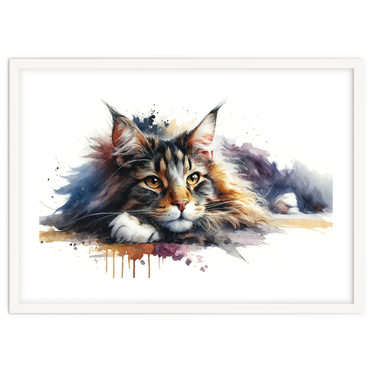 Maine Coon Resting Portrait