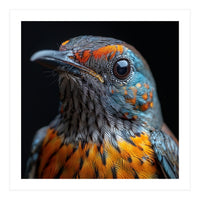 Close Up Of A Colorful Exotic Bird Head (Print Only)