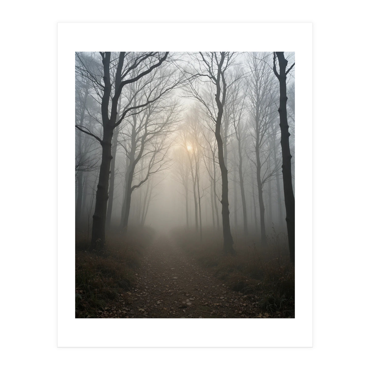Ethereal Morning Light Breaking Through Dense Forest Fog (Print Only)