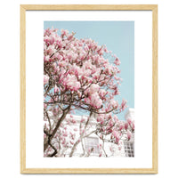 Spring Time