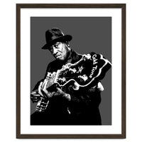 Taj Mahal American Blues Musician Legend