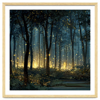 Enchanted Midnight Forest with Glowing Fireflies