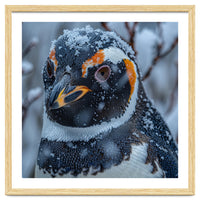 Penguin In Snow Falling Close Up Portrait