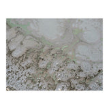 Life And Souls (Print Only) thumbnail