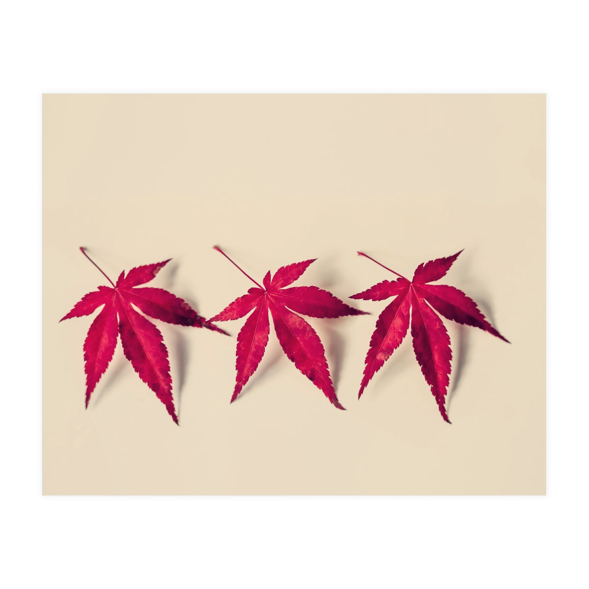 Dancing Leaves (Print Only)