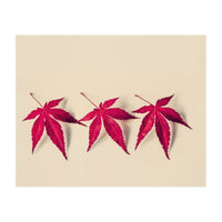 Dancing Leaves (Print Only)
