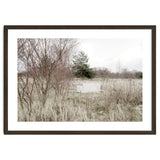 Abandoned Sofa in the middle of nowhere thumbnail