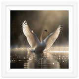 Graceful Swan Spreading Wings On Sparkling Water thumbnail