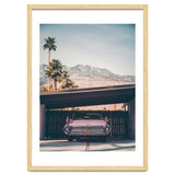 Palm Springs Pink thumbnail