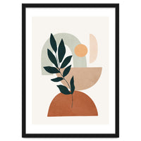 Soft Shapes IV