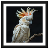 White Cockatoo Parrot Bird Perched On Branch thumbnail