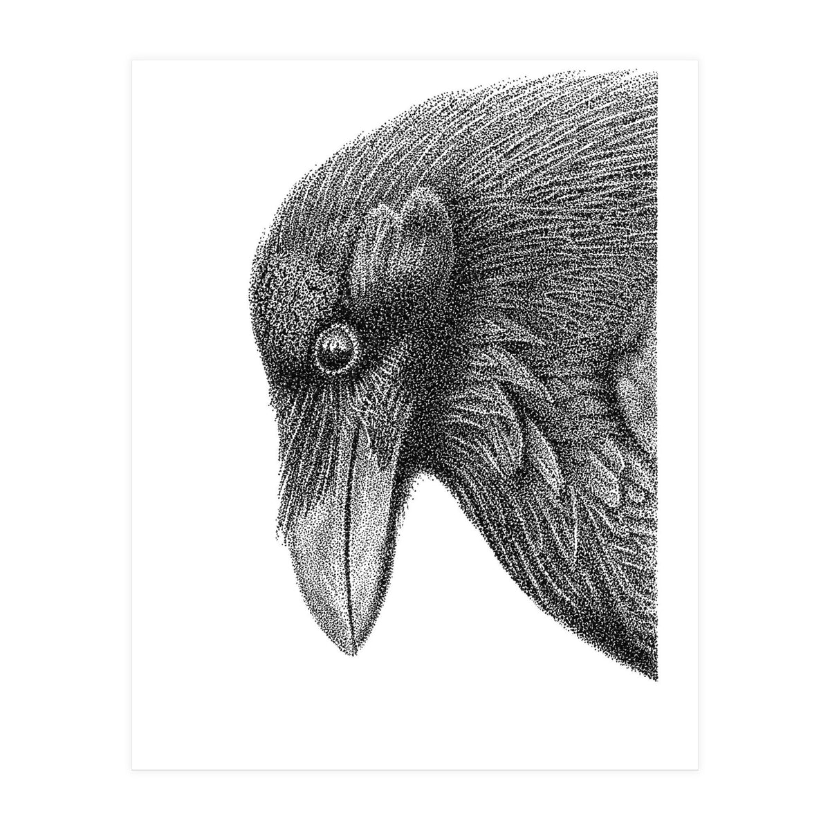 Huginn (Print Only)