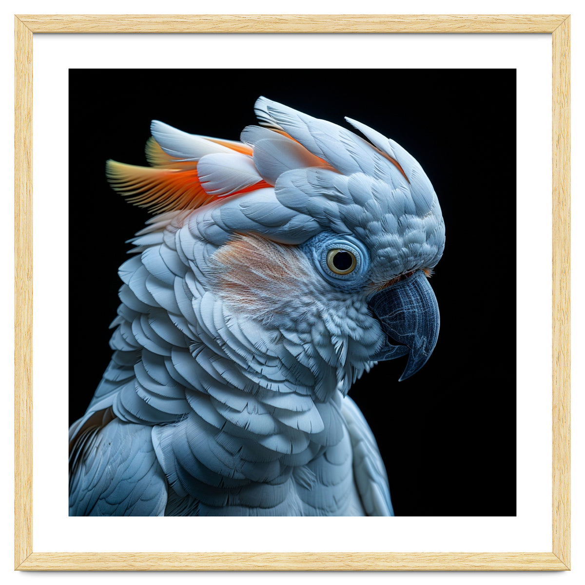 Close Up Of A Cockatoo Parrot Head