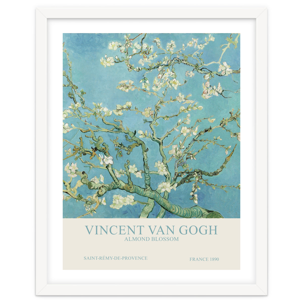 Vincent Van Gogh - Almond Blossom