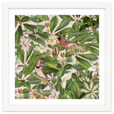 Tropical Bird Garden thumbnail