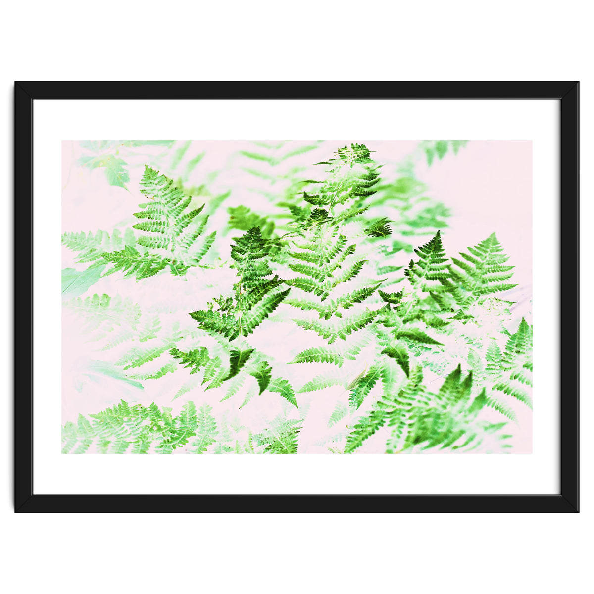 Fern Forest #society6 #decor #buyart