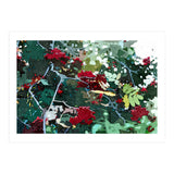 Berries (Print Only) thumbnail