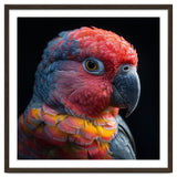 Close Up Parrot Face Red Blue Yellow Plumage thumbnail