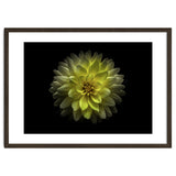 Backyard Flowers No 128 Color Version thumbnail