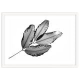 Branches and Leaves, 2016, 1 thumbnail
