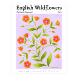 English Wildflowers | Scarlet Pimpernel  (Print Only) thumbnail