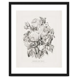 Currier & Ives – Rose of May (1870) thumbnail
