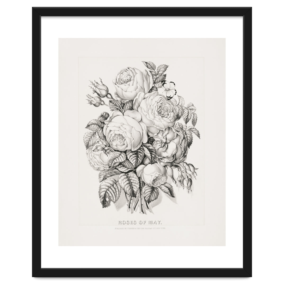 Currier & Ives – Rose of May (1870)