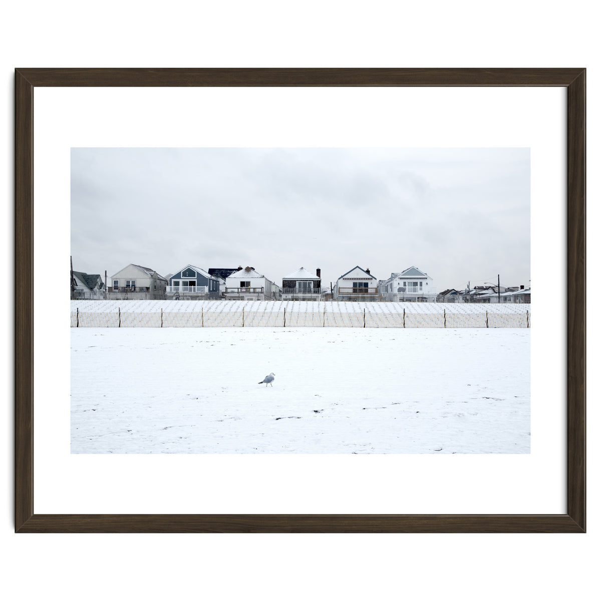A seagull and snow covered houses