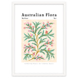 Australian Flora: Wax Flower thumbnail