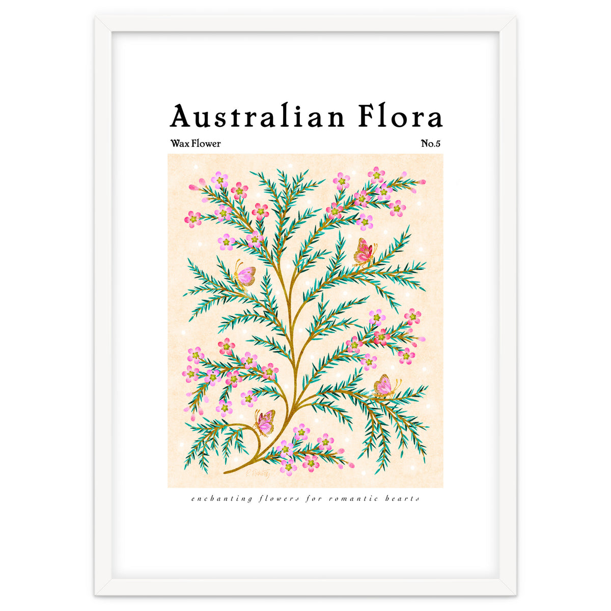 Australian Flora: Wax Flower