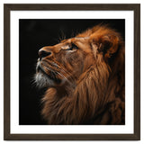 Majestic Lion Portrait Profile Majestic Beast thumbnail
