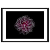 Backyard Flowers No 116 Color Version thumbnail