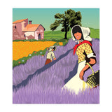 Provence, France (Print Only) thumbnail