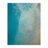 Shallow Waters (Print Only) thumbnail