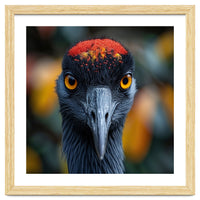 Close Up Of A Strikingly Beautiful Bird Face