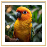 Sun Conure Parrot Colorful Bird Perched On Branch thumbnail