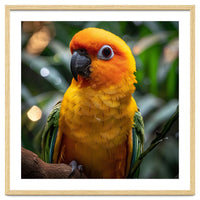Sun Conure Parrot Colorful Bird Perched On Branch