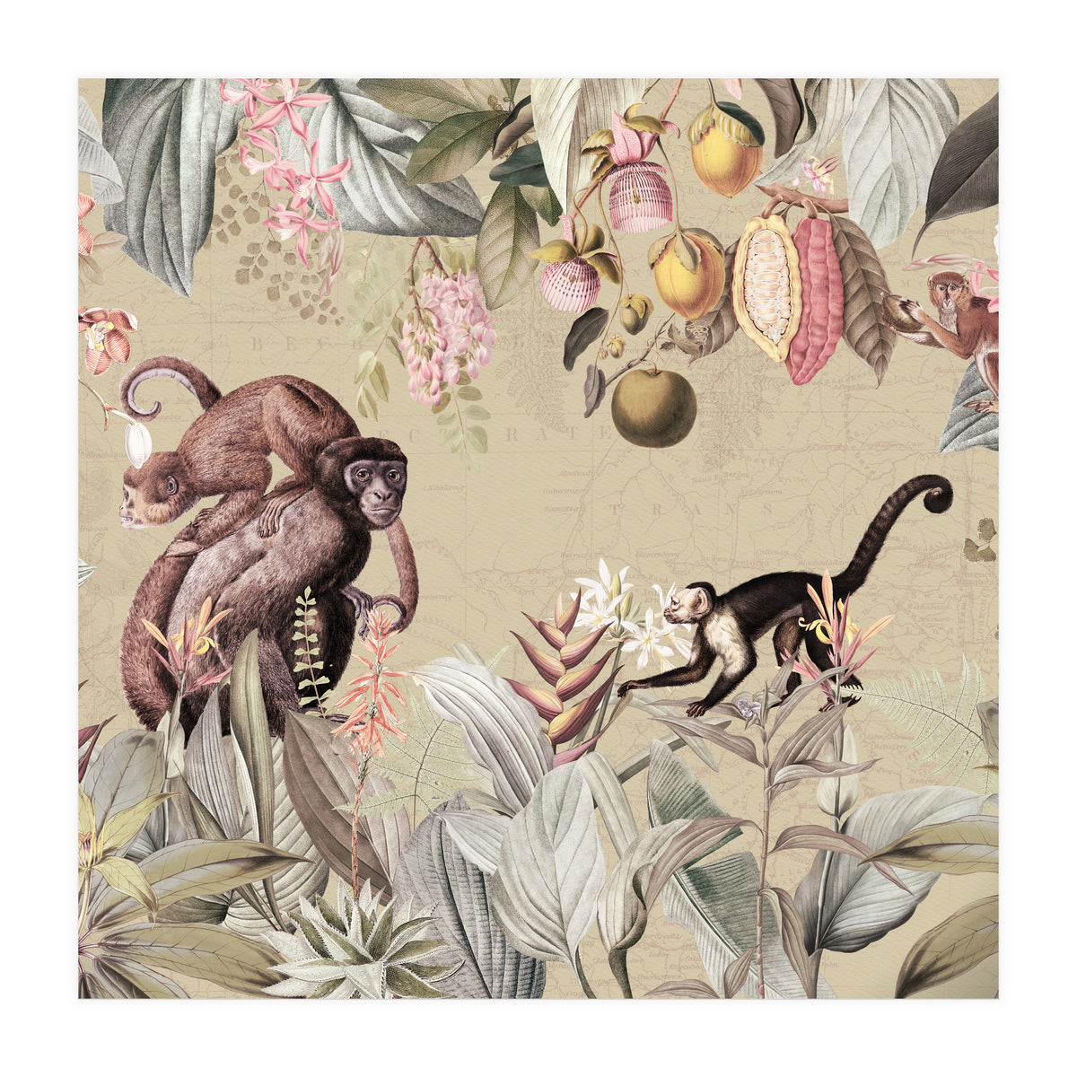 Vintage Exotic Monkeys In African Jungle Landscape (Print Only)