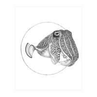 The Fascinating Cuttlefish (Print Only)
